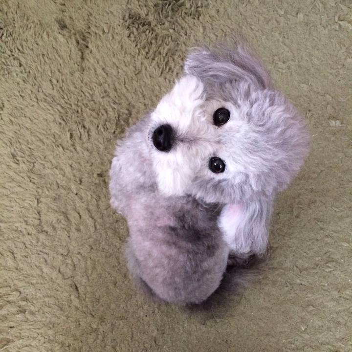 82379abe 8298 4614 9c74 3108bfabae53