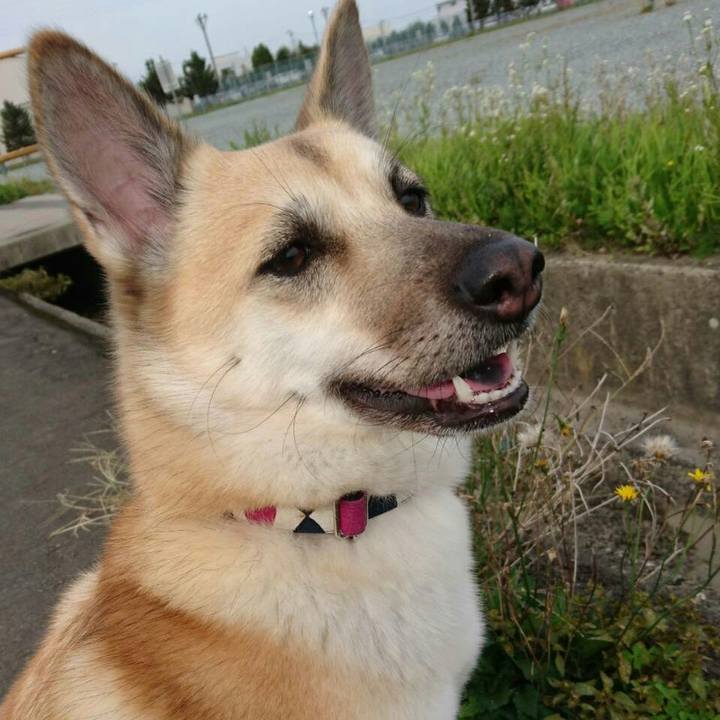 82381c58 8ecf 4585 8ae8 793b832f520c