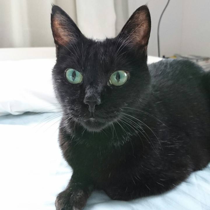 82383323 ec7e 4389 9556 a088e1337bc9