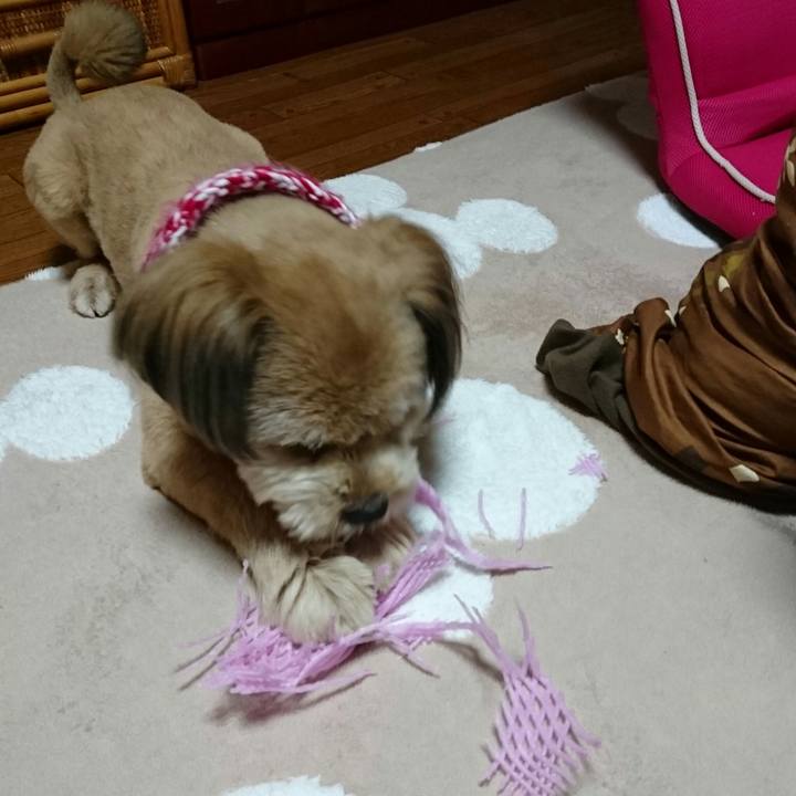 8238356e ce00 4ece ac1b 603d28e3f8a1