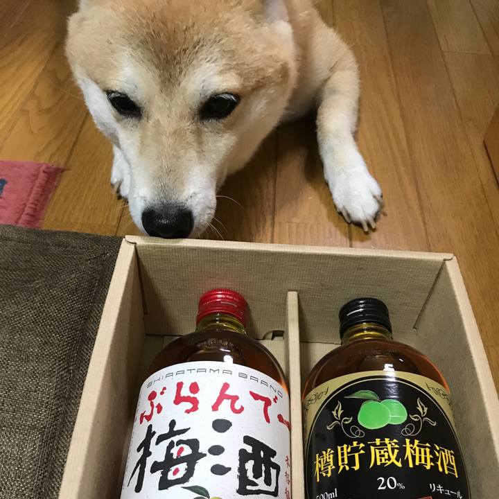 8238bbd0 cb09 443e 8bf7 f318110df443