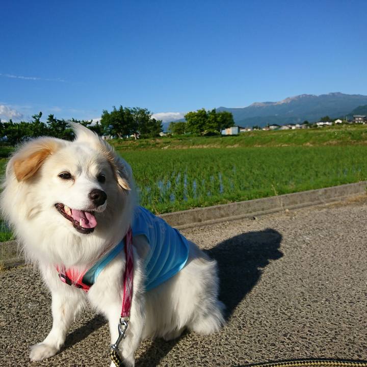 8238cbaf c203 4d88 9b2f 3e65ed544d87