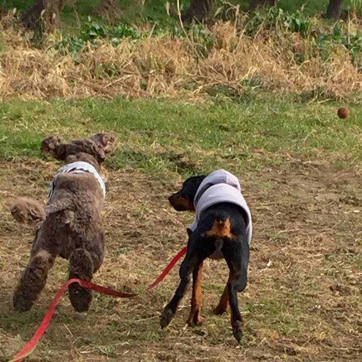 8239230e 6538 4c12 9d20 d7f440c1f319