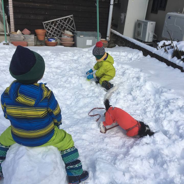 82398e4a f2aa 4f59 a8f9 d0a368b63246