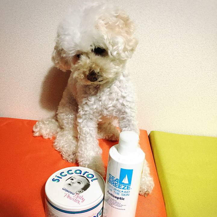 8239ed17 8d0c 4189 8e6a af77df2103d5