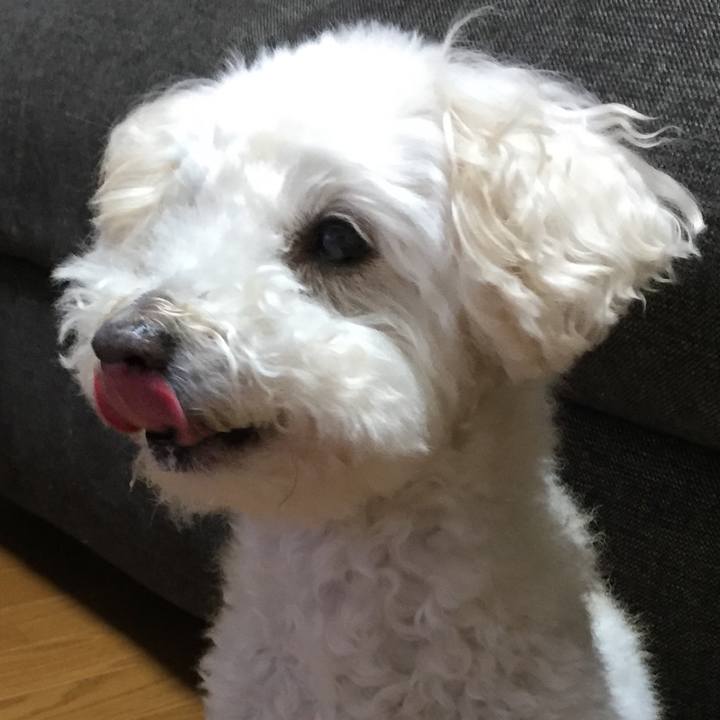 823a0f23 eb3f 40c3 a30e a8099ed9826a