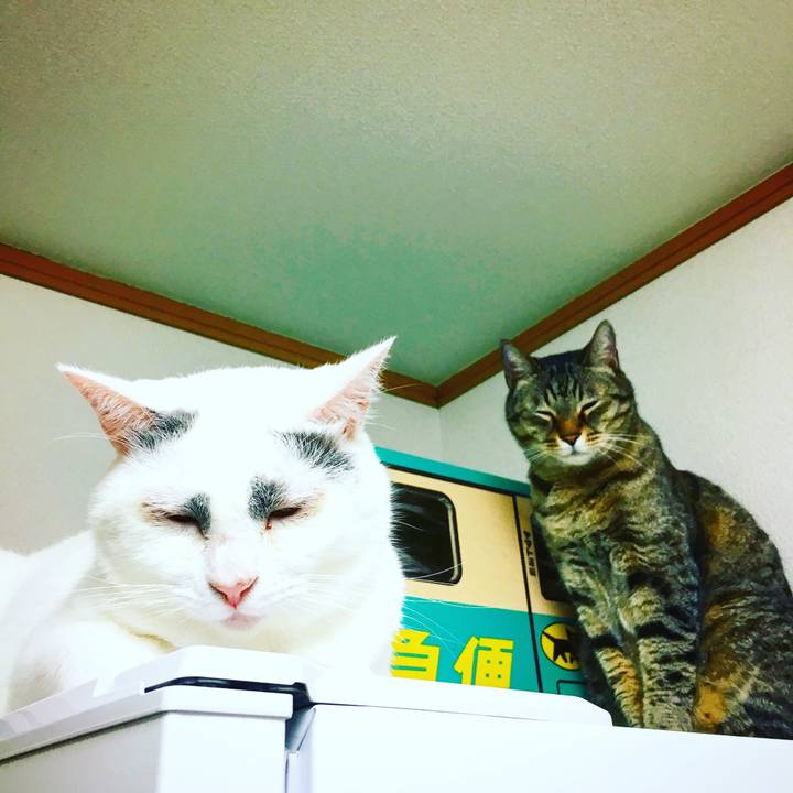 823a1de4 8a16 4760 b572 3220f49278a7