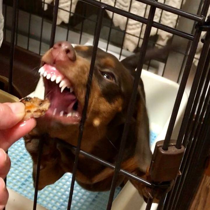 823a8a6f d5dd 4256 90c8 9838fd295d25