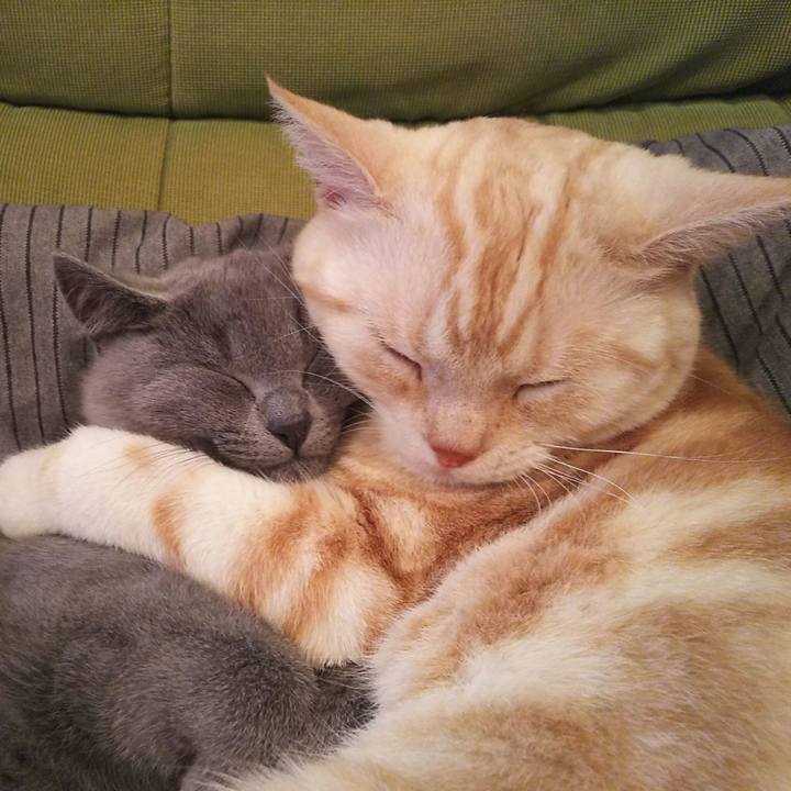 823ab037 5eca 4c09 8b4c bfba503bb709