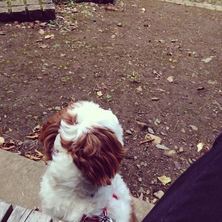 823b1ab1 2c3f 432f b8e7 4457430f459c