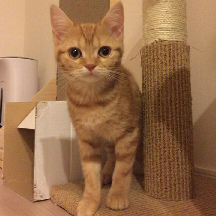 823bf06f 5e91 4a6a 9610 79592ca2c194