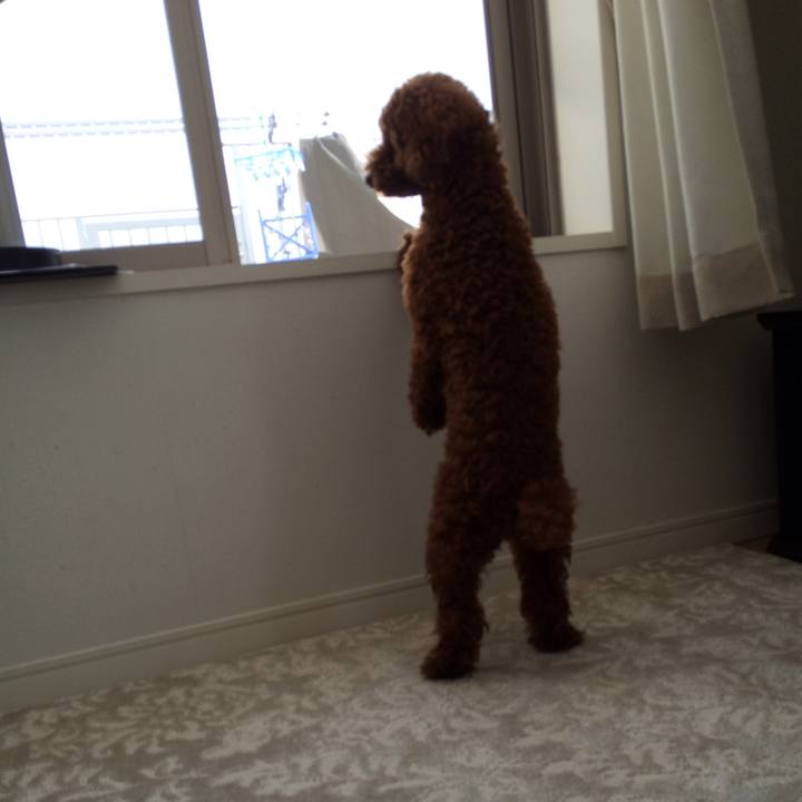 823bf20f 28c0 4057 8833 75a3aa753879