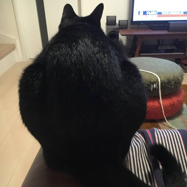 823cc194 bc72 496b 9ea7 6379b66fcfc8