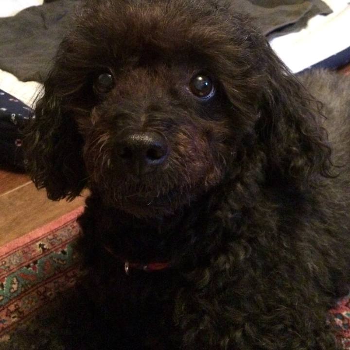 823d0dae c091 4516 bb64 16f92a92b299