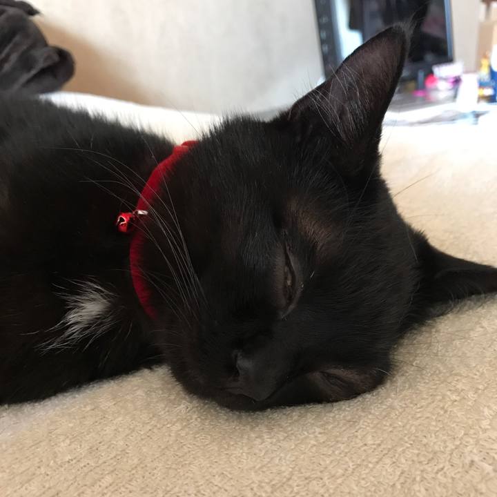 823e1e84 04ce 4cda b9f5 6ae2b1d87559