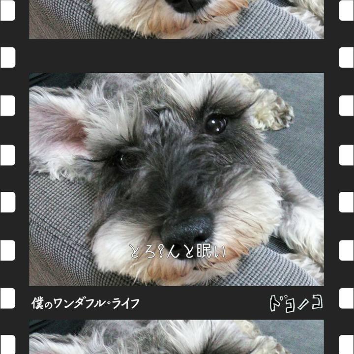 823e449c bb0c 4305 b73c 60e48ab26eeb