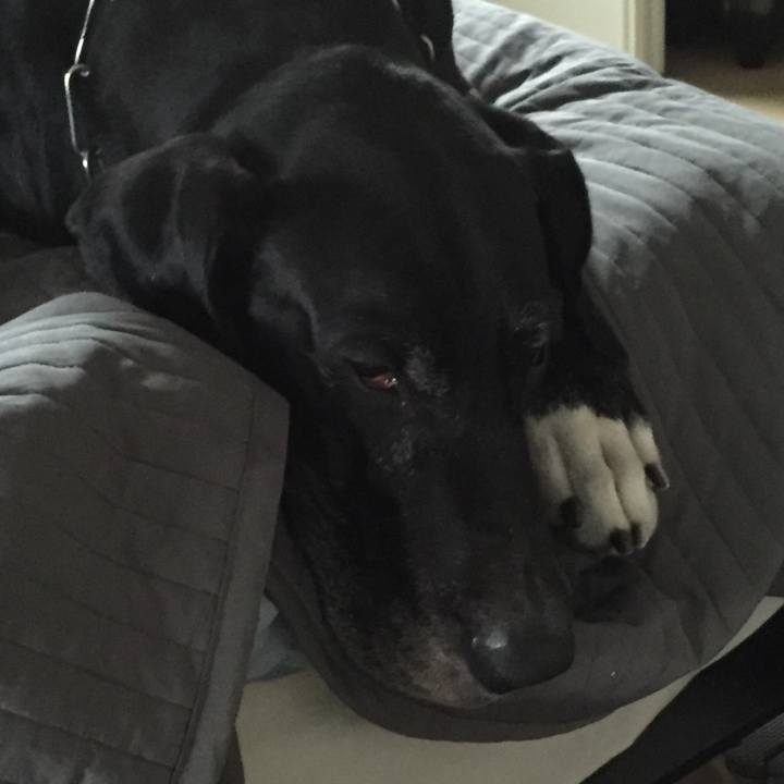 823e5aaf da16 4593 b8ee bf6d40c737af