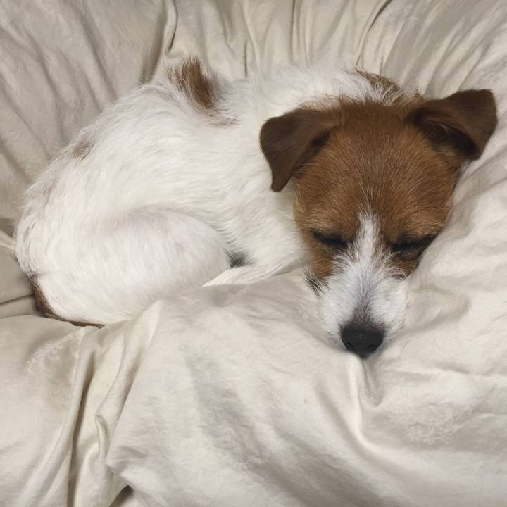 823e72c1 52a0 404a 8adf f6fdc5024e1b