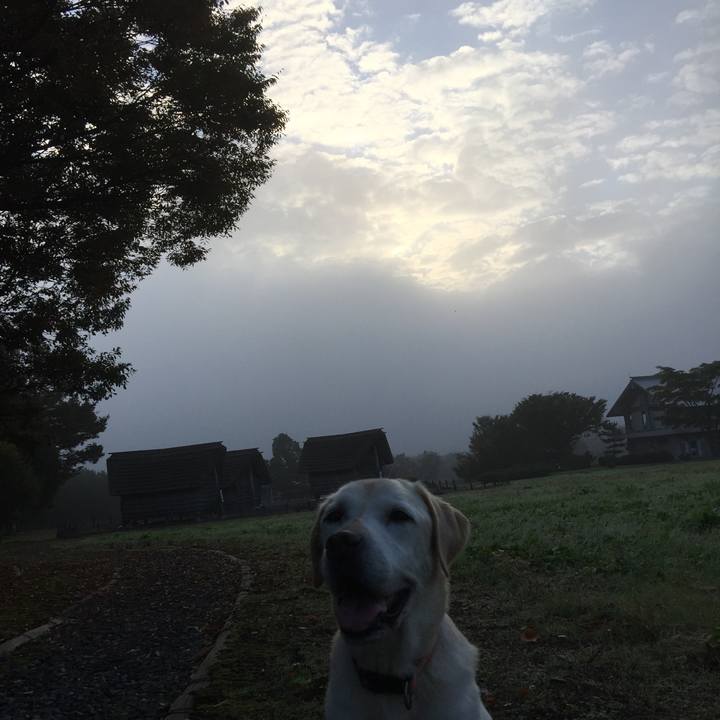 823ee29d 19b3 4e7d 8aa6 c4949e17ad4f