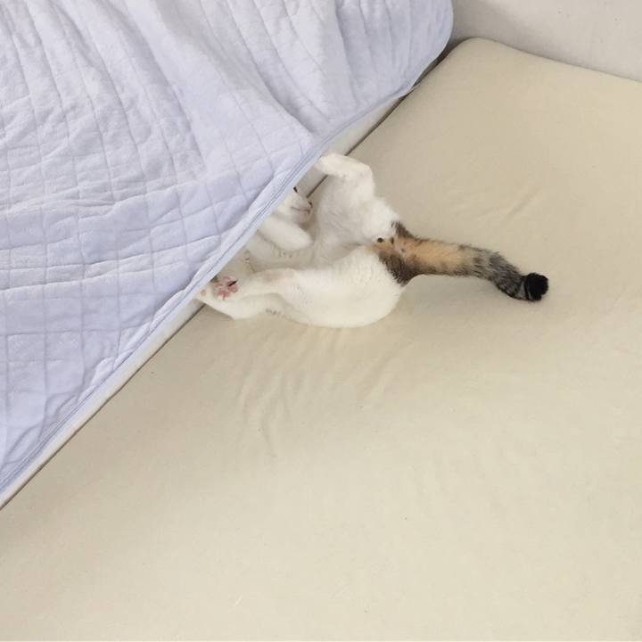 823f1dcf 5366 4586 b66d 99511299d657