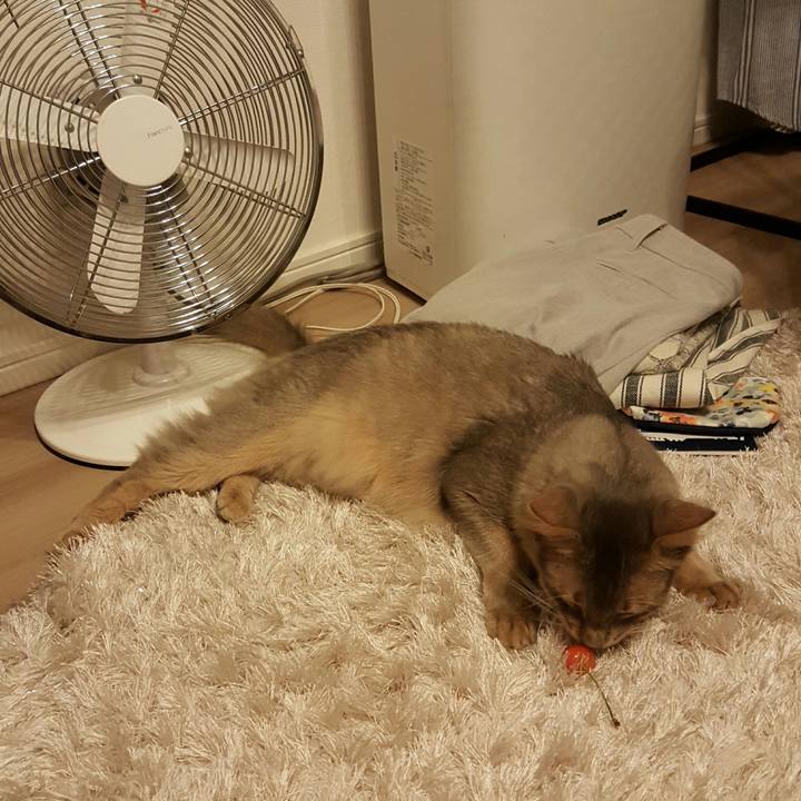 823f326a 7b5d 4972 9903 692414b9d7c2