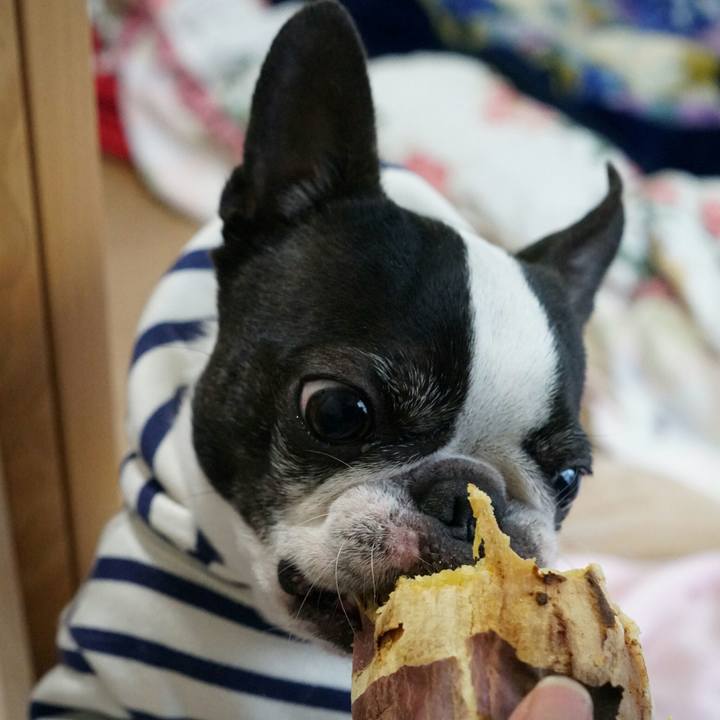 823fbbd6 a821 4afd 9791 12efff5a3dad