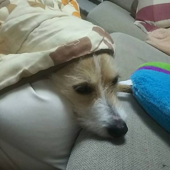 8240a2d6 bb01 40b0 8142 dd33d00b67dd