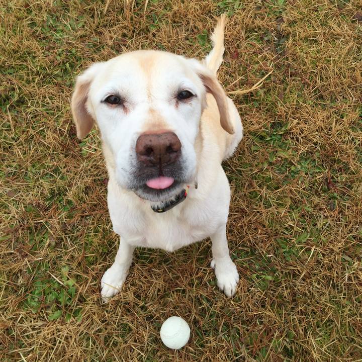 8240d62f 4928 41e3 8e5c bef7632b247d