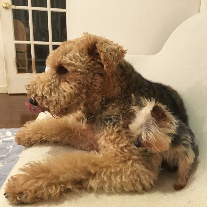 8240e37e 052c 4b96 889d e0e17cd143f9