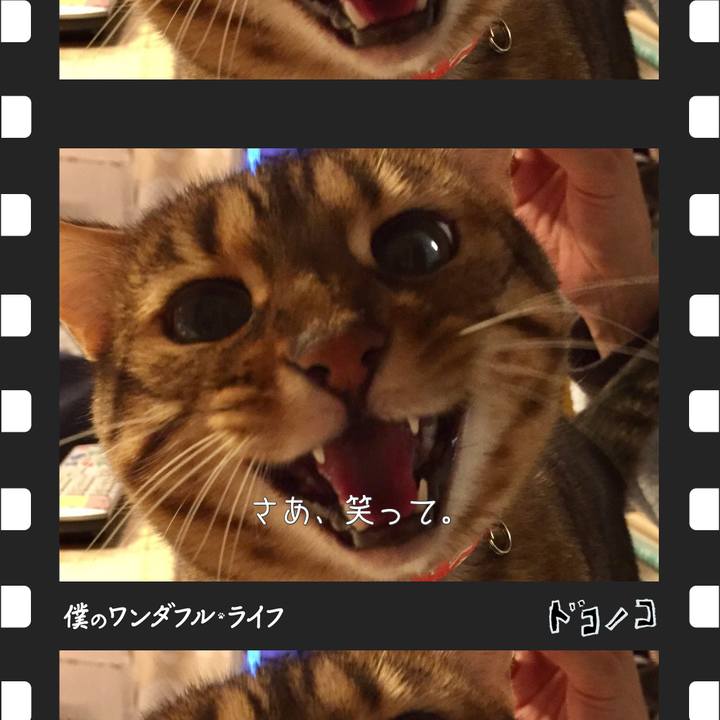 8240e395 bd9e 4e24 a5b1 d004ac40642e