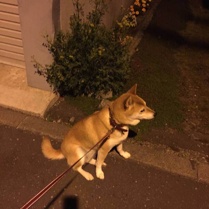 82410e63 0e72 4fcc 9afa d82ecd38e574