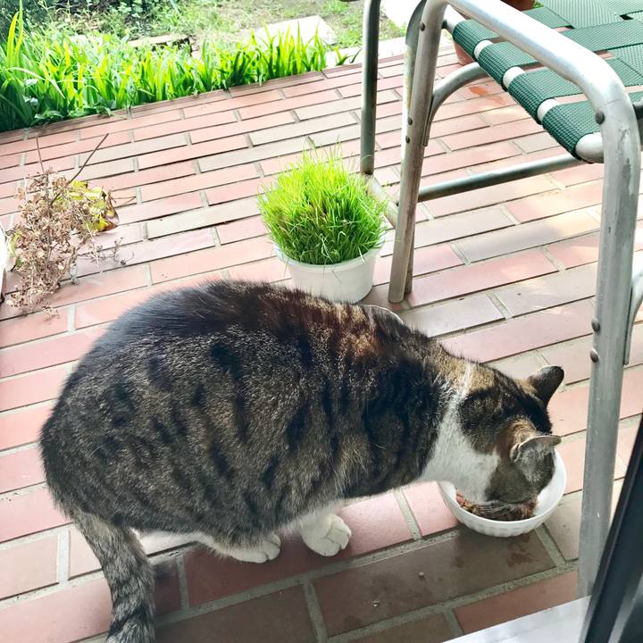 824278d4 5b54 4325 8364 57f5555629f5