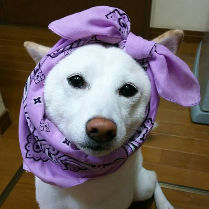 82441fd7 bb5d 4131 8f52 72a3e71e2b34