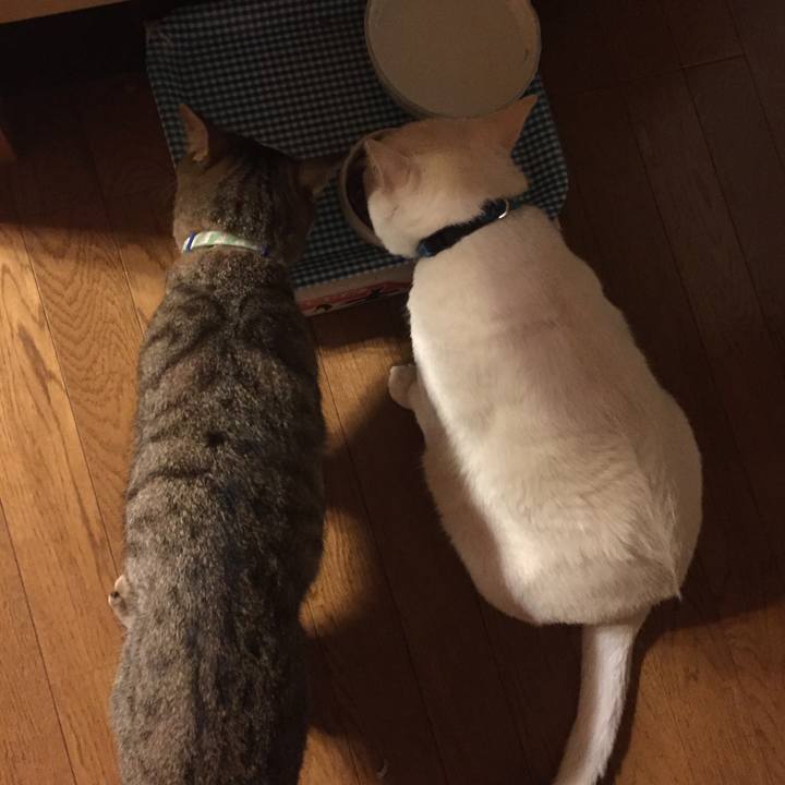 8244265b 76f8 4382 9a9e 3ad8fad46168