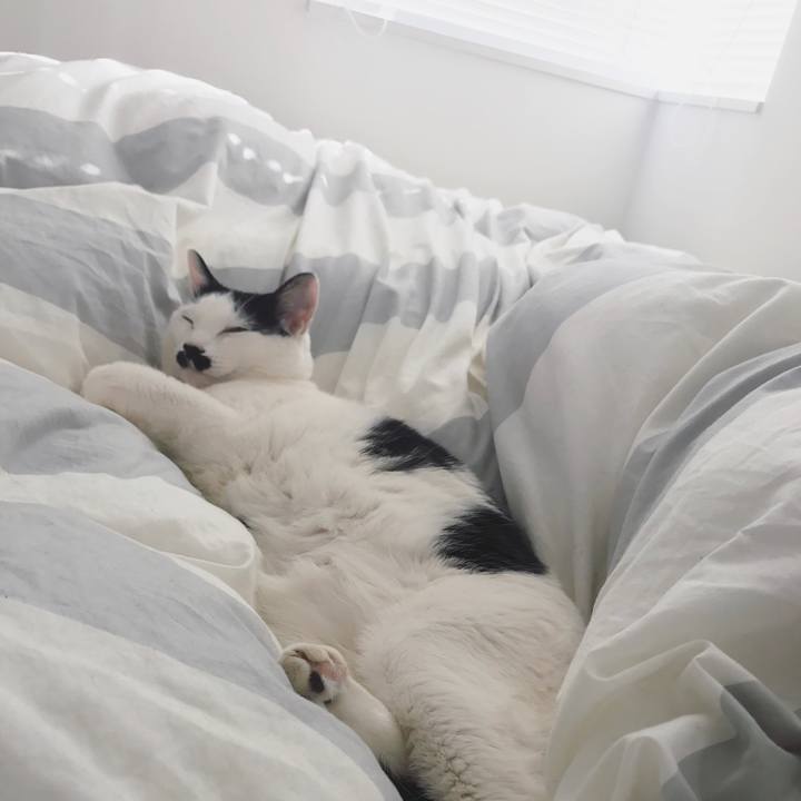 82448101 677c 4488 800b a28768594a33