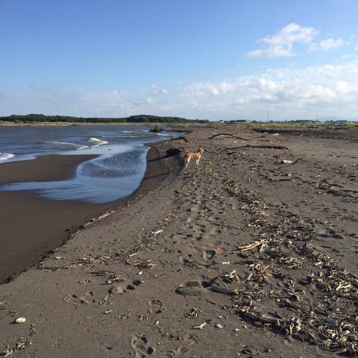 824484b8 9fe3 4e08 945e a200becb8911