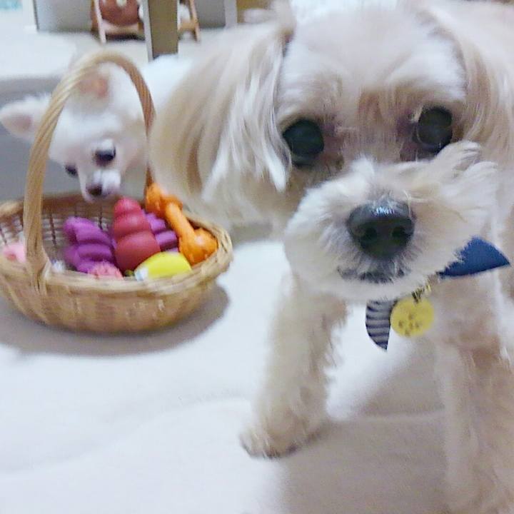 8244aaf9 9773 4a8b 9ae8 e511e9c5e448