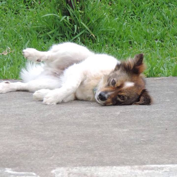 8244e427 162b 4dcd 895c 7aa4f0d0c23d