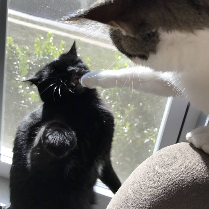 824538af b26e 4114 95de 584e44392073