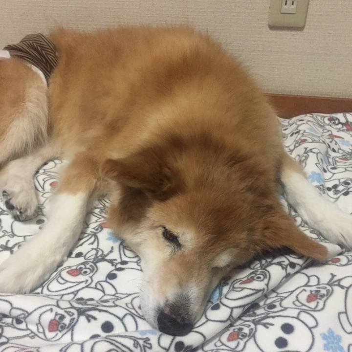 824573f5 8fcb 4ecd 8ca8 0131e6b8c50c