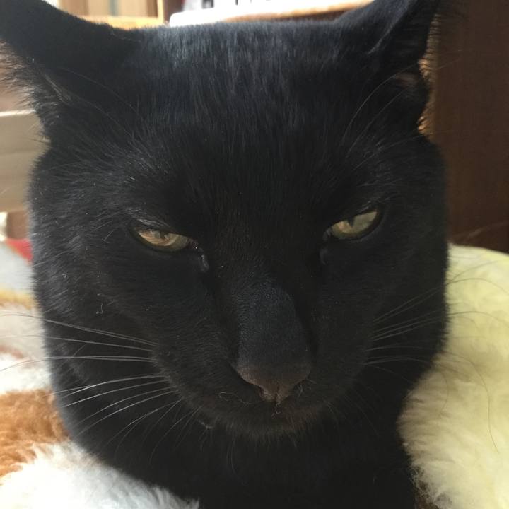 8245b83c a78a 4a66 b56b f353fef6a82f