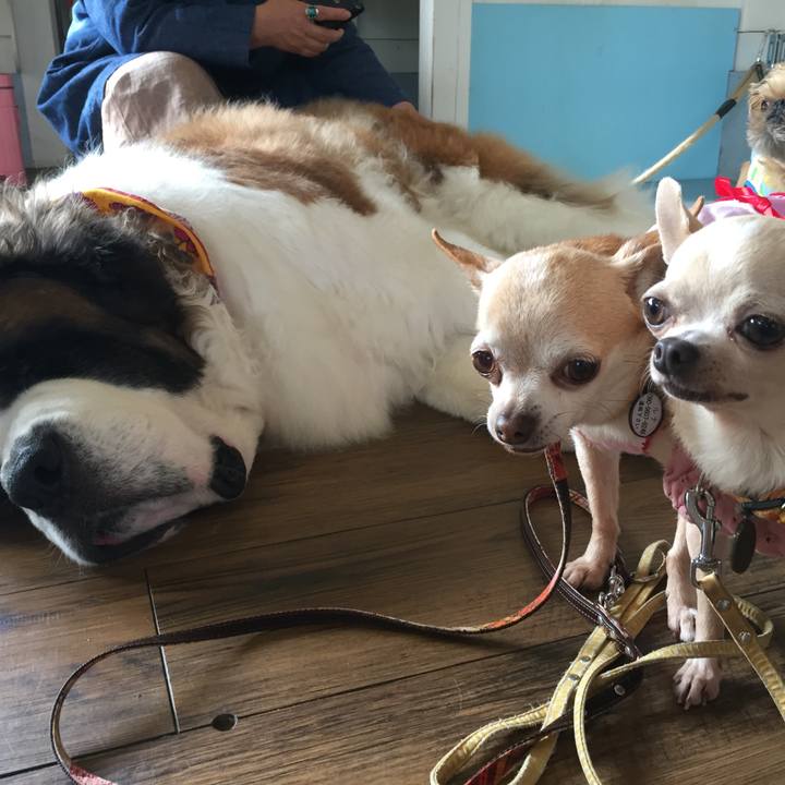 82464fc9 66e7 465e 89f3 cee3369157c8