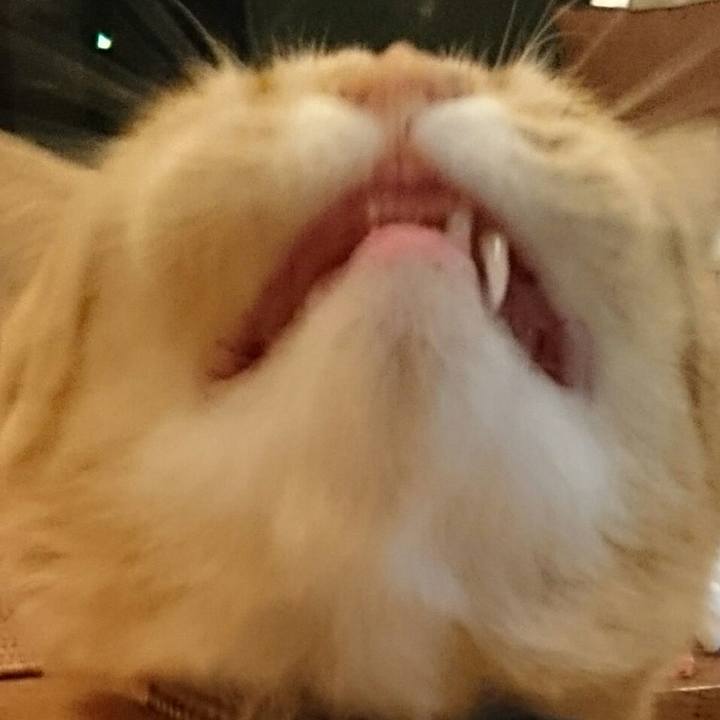 82466b76 59fc 4830 bdc2 066999dff196