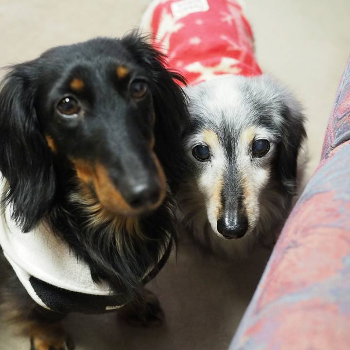 8247b5b4 2531 4a3b 9df8 2ce3f7b4ce9d