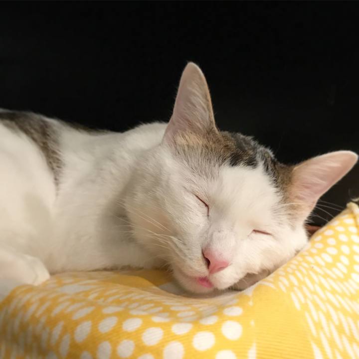 8247bd79 967c 4799 94fa 1bbe8dd6bb23