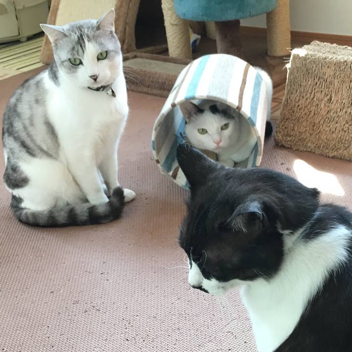 8247e056 4e6d 46da b7f1 f9fa55b3dd6d