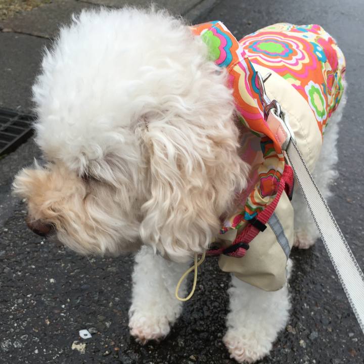 824802b6 5f42 4a59 aee6 1b4e16250af9