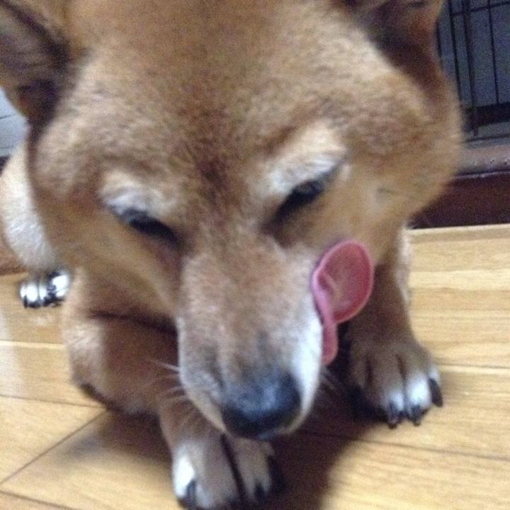 82482c24 0424 4c82 85aa bfc9187d9ccc