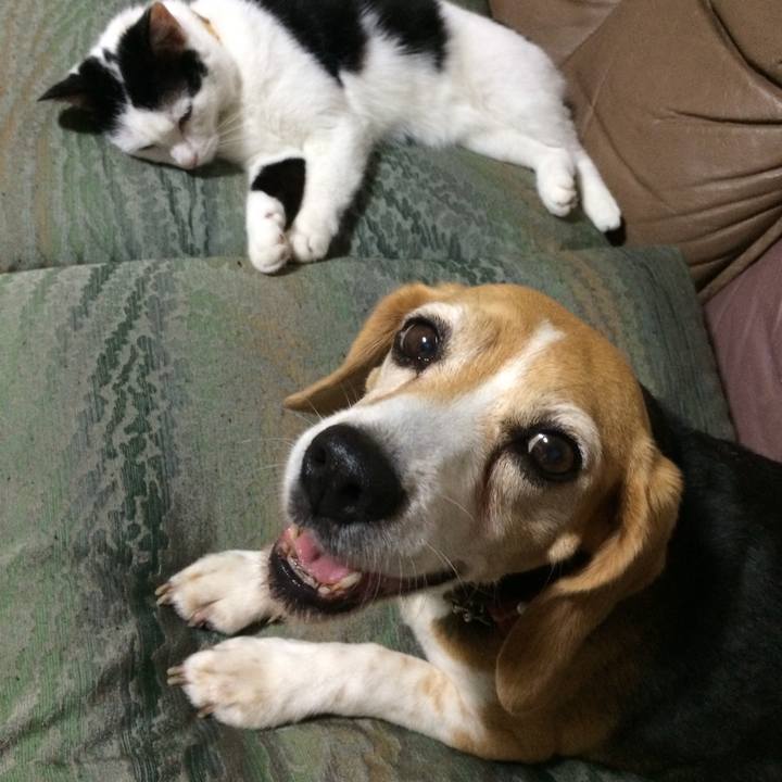 82484f0a aa7c 41f1 a8a9 f6abdf7d8580