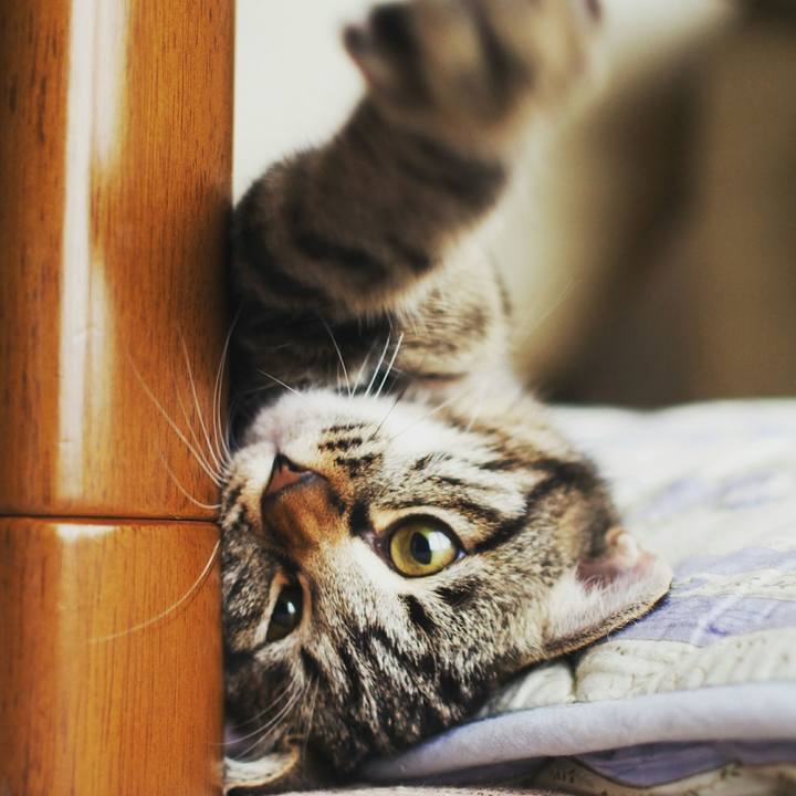 8248f986 0d6b 426d ae61 5446dc362dcd